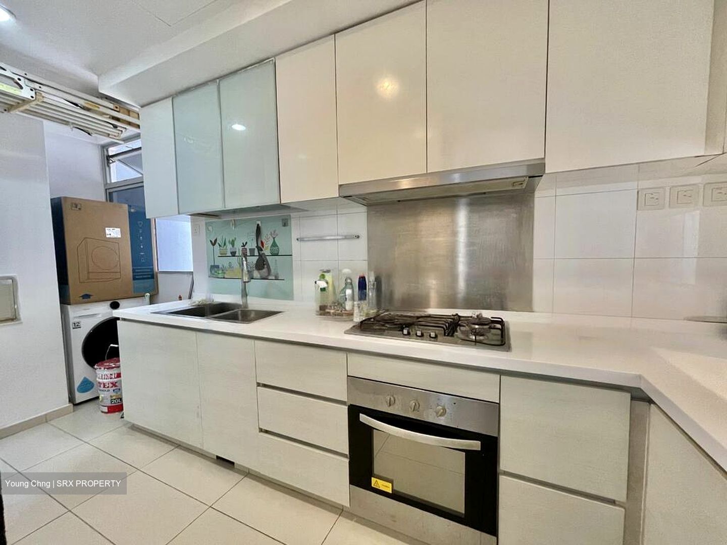 Oasis @ Elias (D18), Condominium #562537421